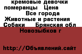 кремовые девочки померанцы › Цена ­ 30 000 - Все города Животные и растения » Собаки   . Брянская обл.,Новозыбков г.